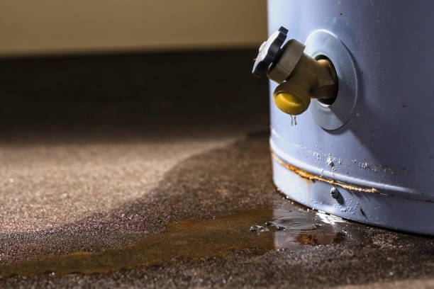Best Sewage cleanup and water damage restoration  in Sells, AZ