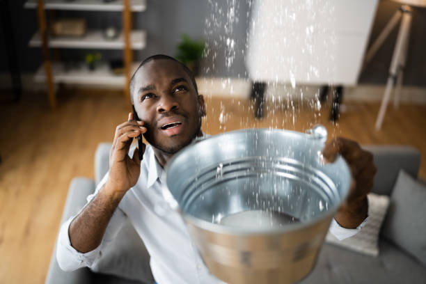 Best Sewage cleanup and water damage restoration  in Sells, AZ