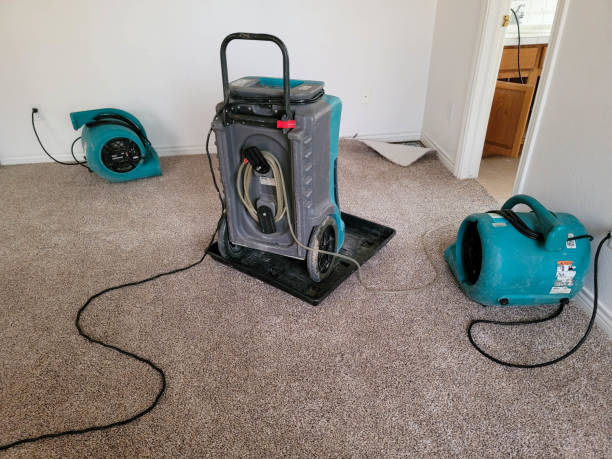 Best Professional water damage repair  in Sells, AZ