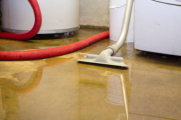 Best Basement water damage restoration  in Sells, AZ