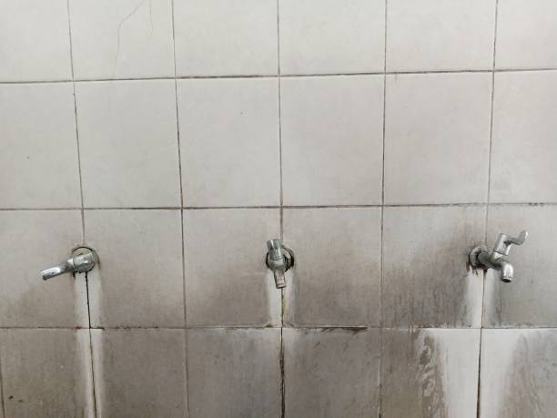 Best 24-hour water damage restoration  in Sells, AZ