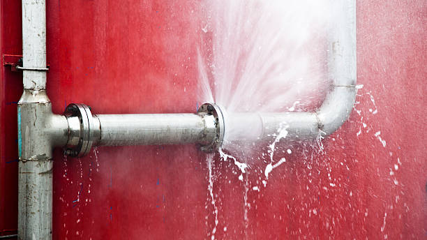 Best Water damage restoration near me  in Sells, AZ
